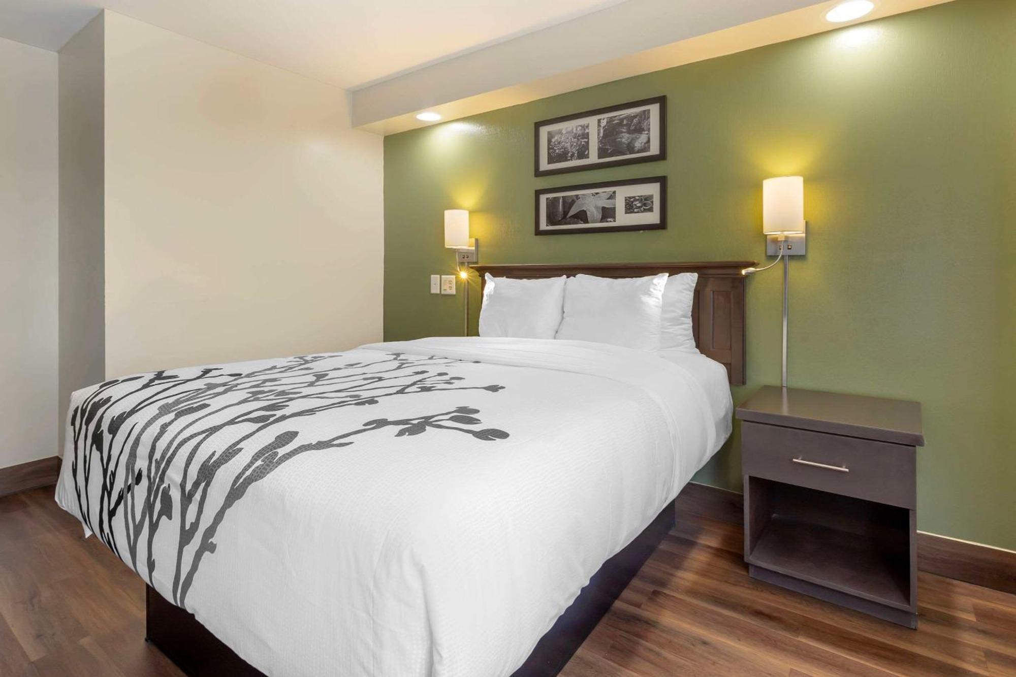 Sleep Inn Sumter Dış mekan fotoğraf